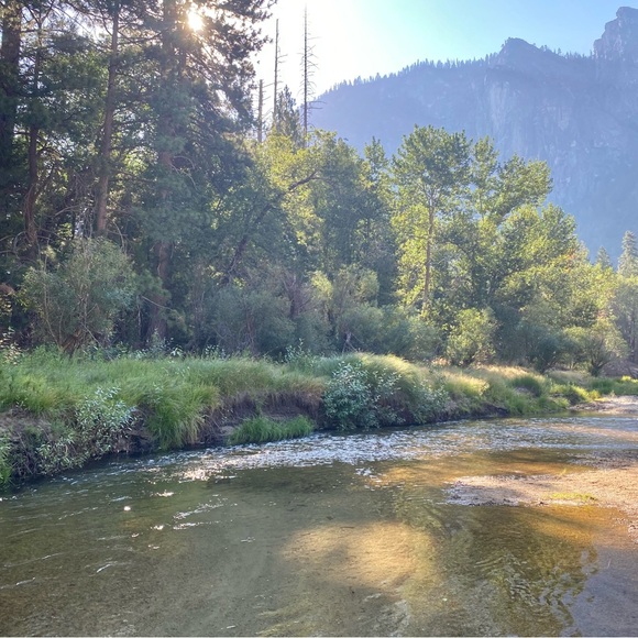 Meet your Posher, Vanessa - Picture 4 of 4